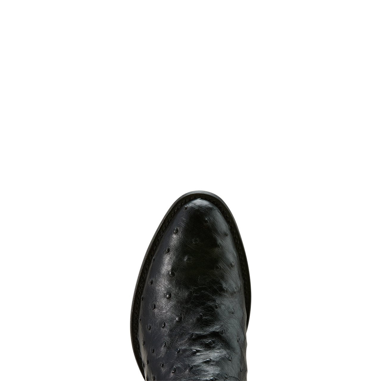 Toe box of Ariat Men's Vesper R Toe Cowboy Boot, Black Full Quill Ostrich