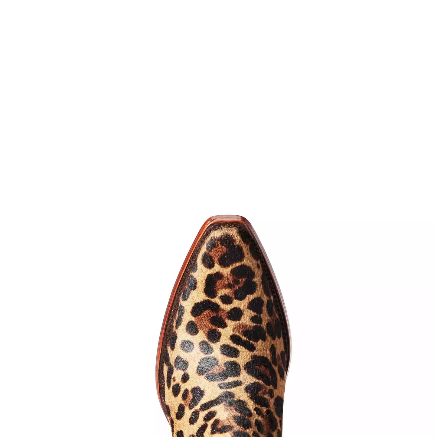 Toe Box of Ariat Women's Dixon Haircalf Western Boot in Leopard Hair On