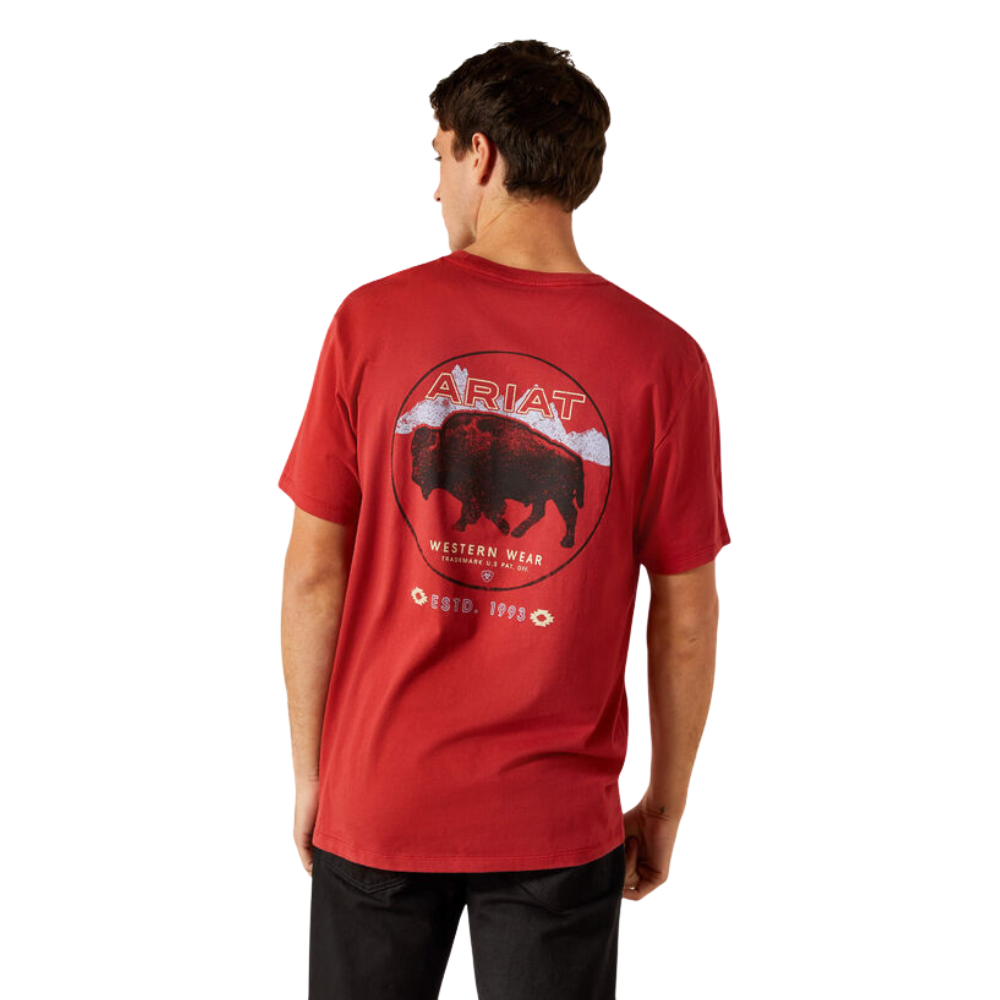 
                  
                    Back of Ariat Men's Patriot Buffalo Coin T-Shirt, Brick Red
                  
                