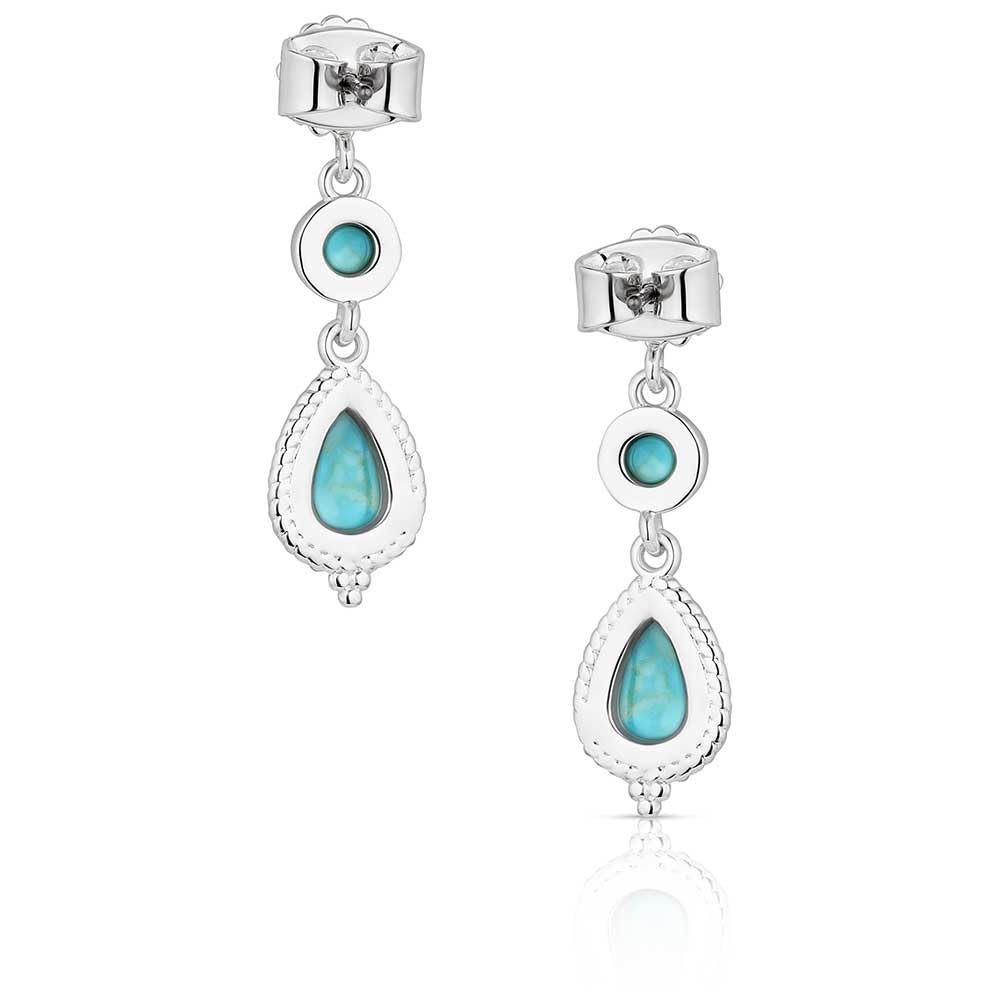 Back of Montana Silversmiths Women's Desert Bloom Earrings