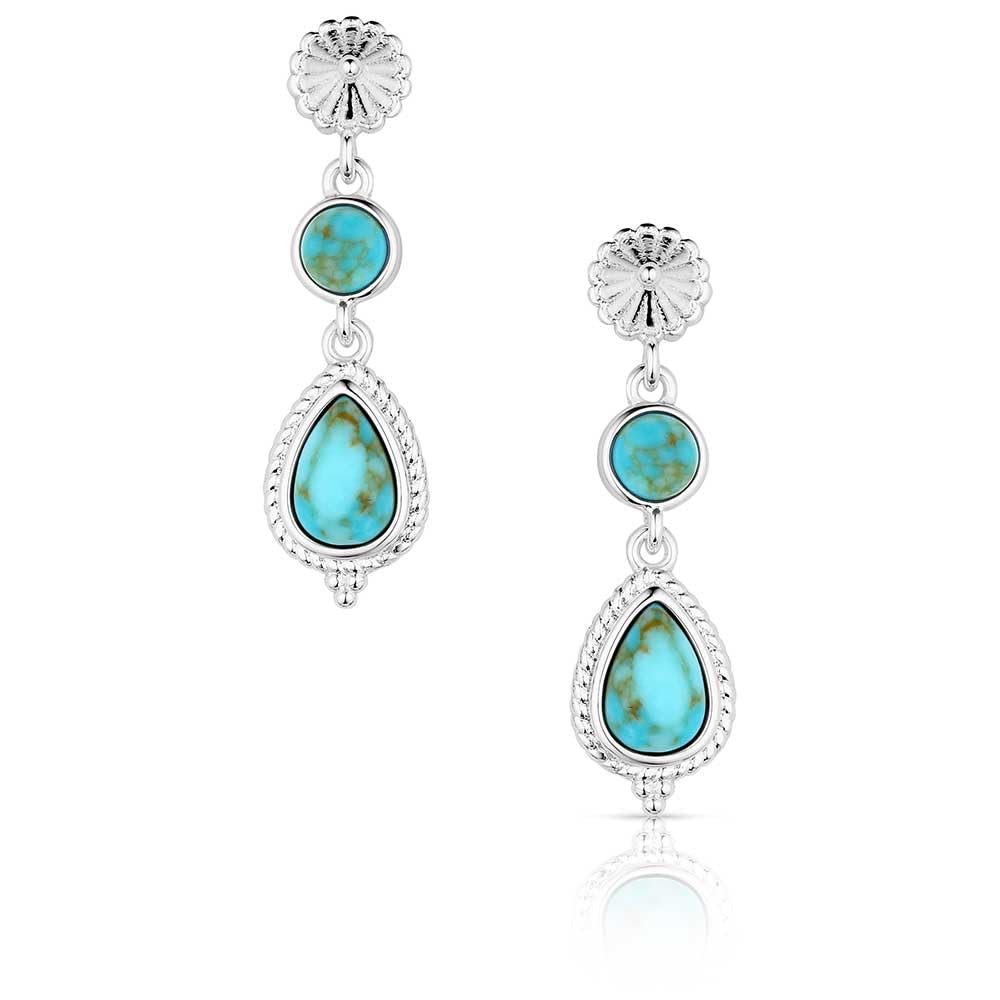 Montana Silversmiths Women's Desert Bloom Earrings