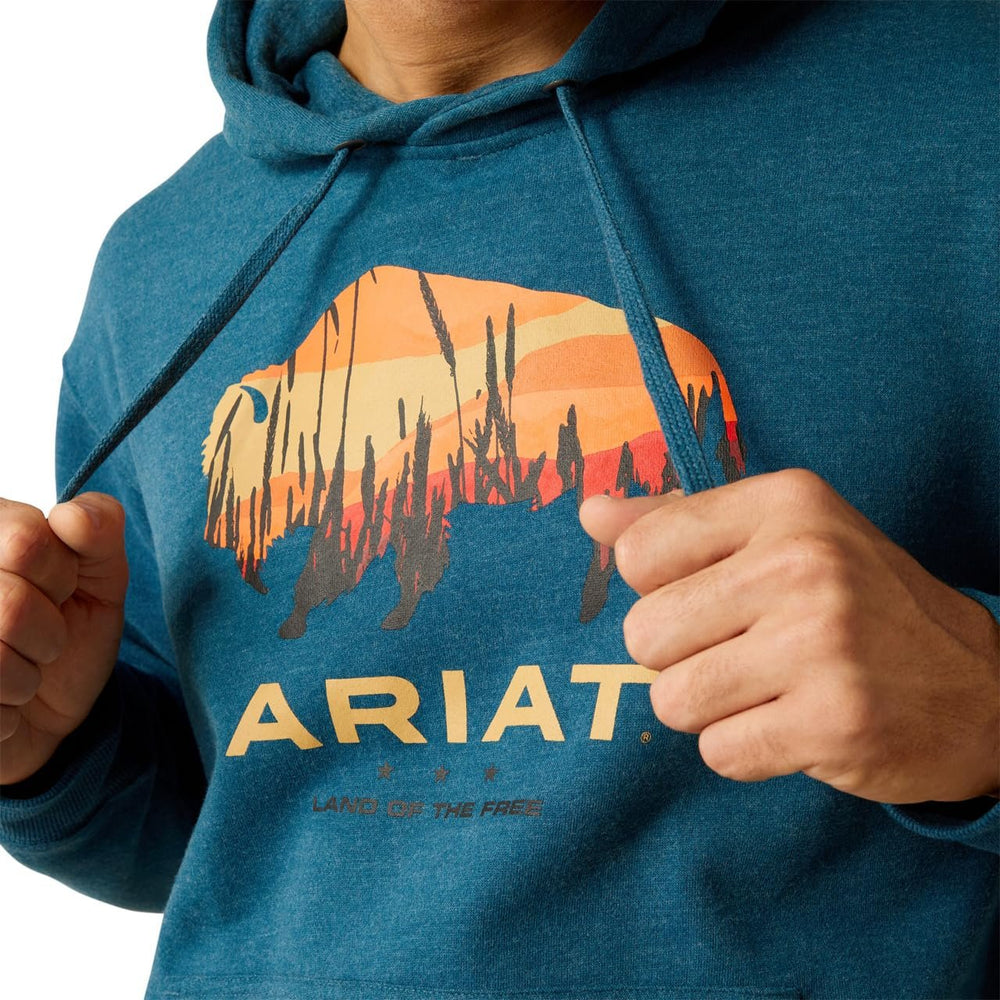 
                  
                    Graphic Detail of Ariat Men's Bison Plains Hoodie
                  
                