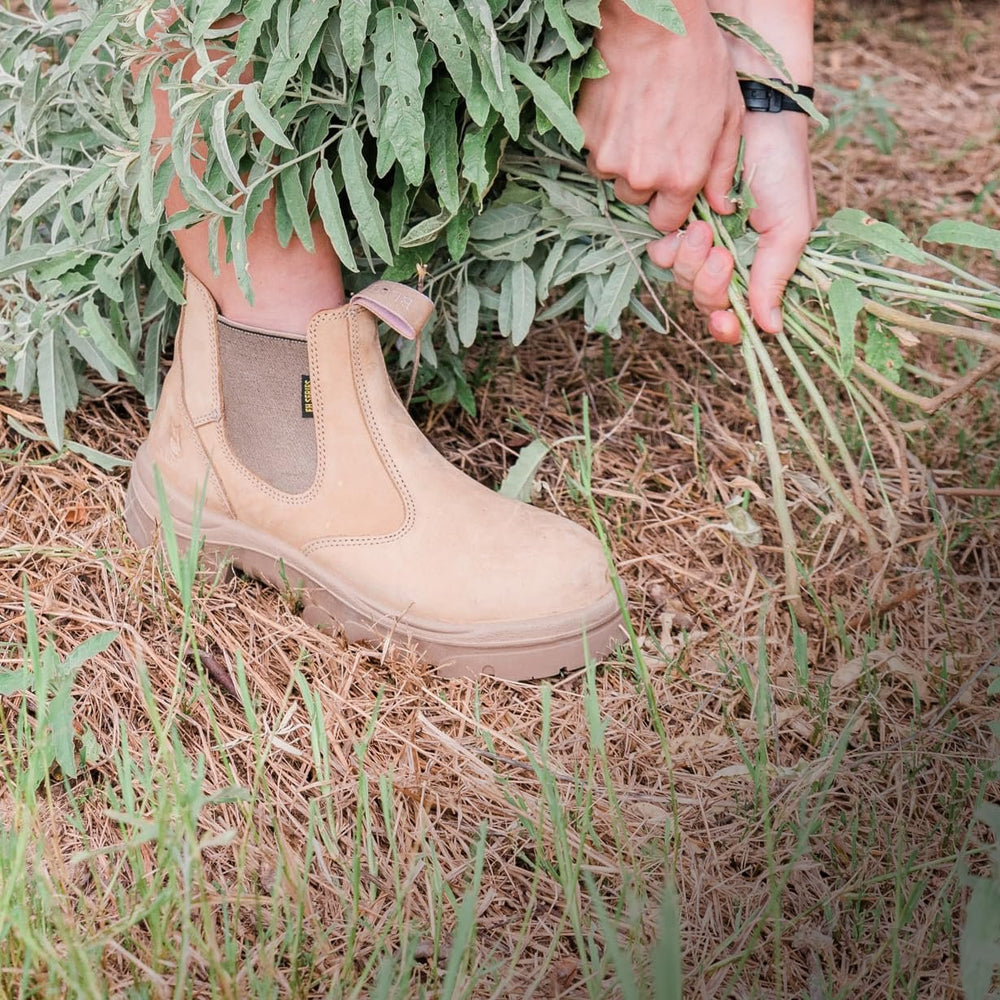 
                  
                    Steel Blue Women's Work Boots
                  
                