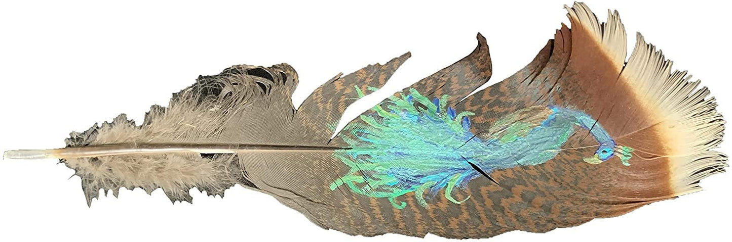 Hand painted hat feather