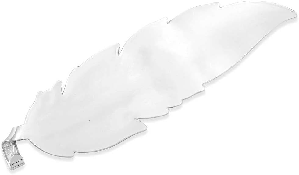 Back of Montana Silversmiths Texas Flag Hat Feather
